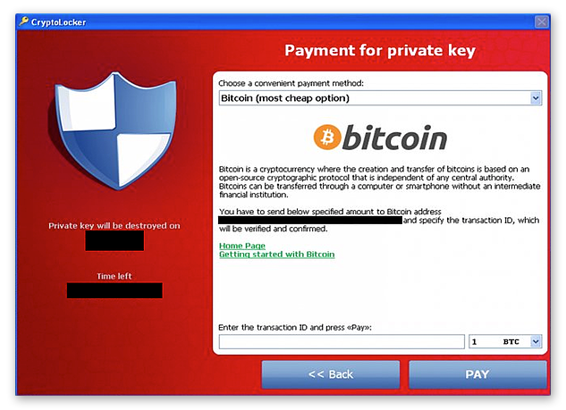 The original CryptoLocker payment window
