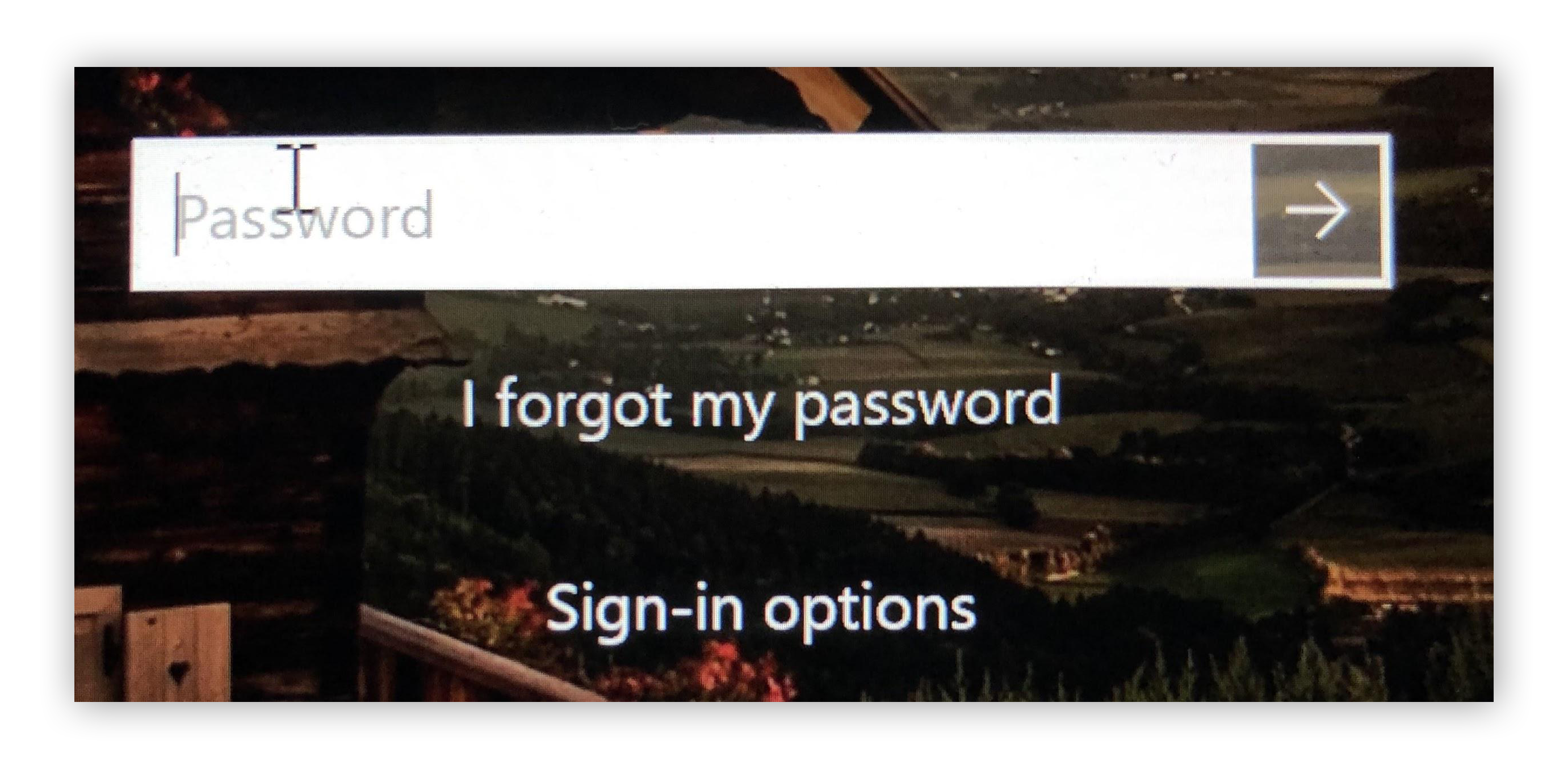 avast passwords reset