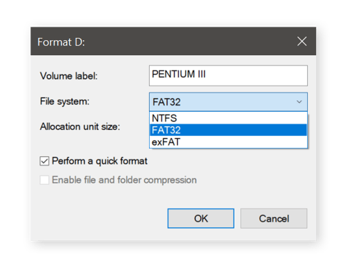 Selecting the file system to format