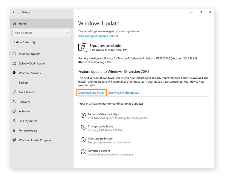 Elegir descargar e instalar una actualización de software de Windows 10