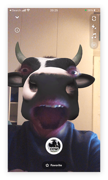 Mithilfe einer Snapchat-Linse können sie sich in eine Kuh verwandeln.