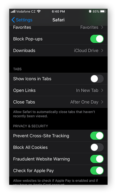 The Safari settings within the Settings app in iOS