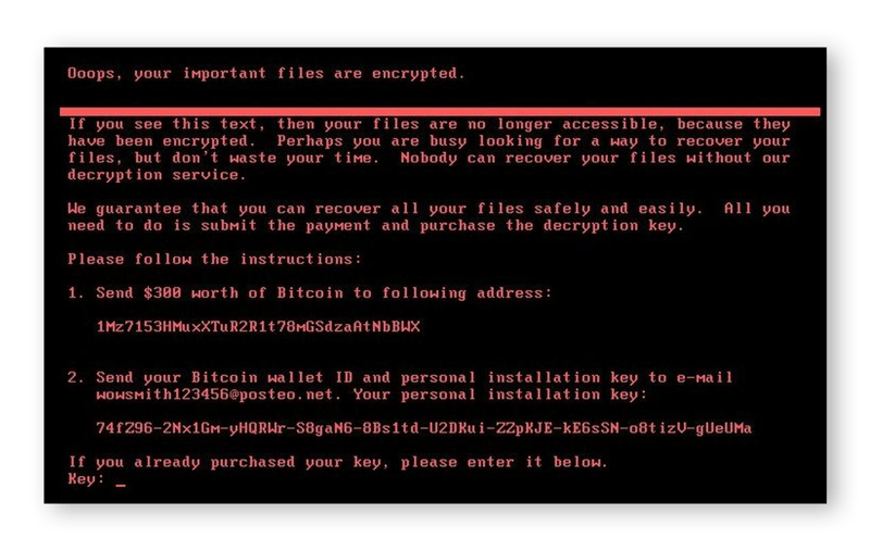 The Petya ransomware strain evolved into a more serious threat to Windows PC users.