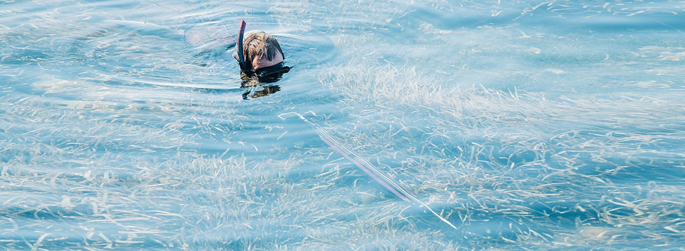 What Is a Spear Phishing Attack? Avoid Spear Phishing