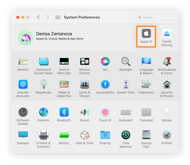 System Preferences on a Mac computer.