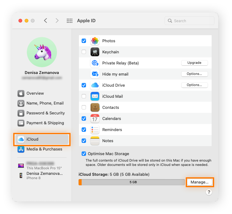 Verwalten der iCloud-Einstellungen in den Mac-Systemeinstellungen.