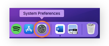 The System Preferences icon highlighted in the Dock