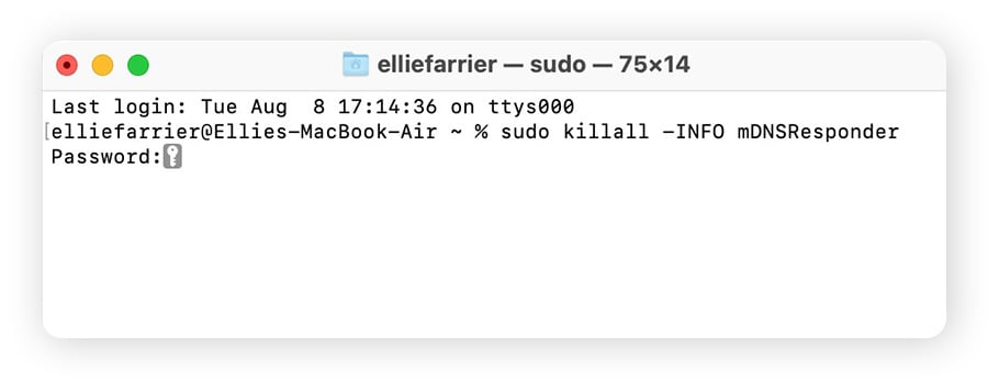 Saisie de la commande « sudo killall -INFO mDNSResponder » dans le terminal Mac pour afficher l’historique incognito.