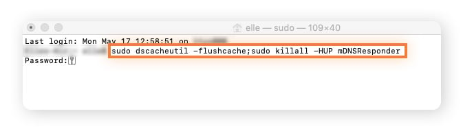 Command in Terminal to flush the DNS cache on macOS.