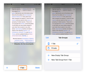 iPhone의 Incognito 모드로 탐색하려면 Safari의 개인 매개 변수로 이동하십시오