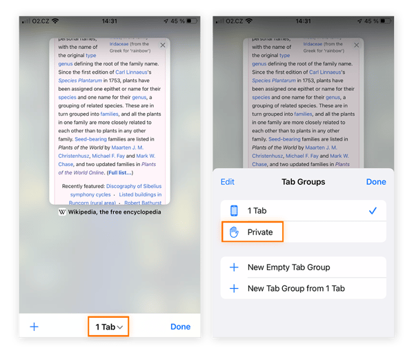 Finding the Private setting in Safari to go incognito on your iPhone.