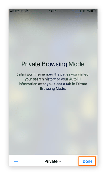 Entering Private Browsing Mode in Safari on an iPhone.