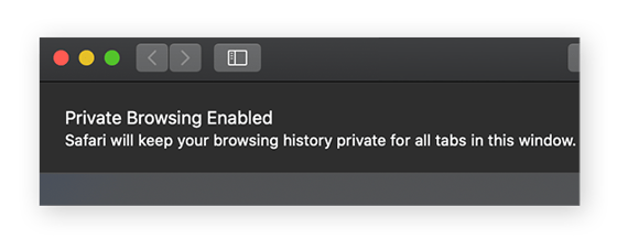 A Private Browsing window in Safari for macOS