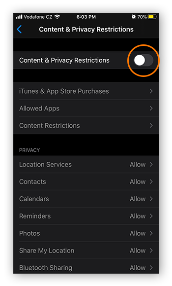 Enabling Content & Privacy Restrictions in Screen Time for iOS 13