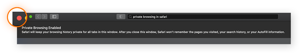 How to Go Incognito in Safari on Mac, iPhone, or iPad | Avast